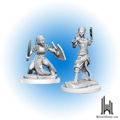 D&D Nolzur's Marvelous Miniatures: Shifter Fighter